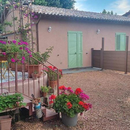 Appartamento Margherita Crespina Exterior foto